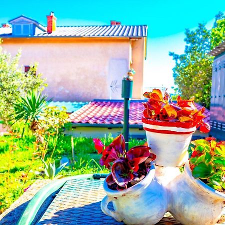 Vacation Home Grill & Chill With 350M2 Garden With Bbq Novi Vinodolski Exterior foto